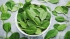 Get to know 5-ALA, a nutrient that Japanese people believe can prevent COVID-19